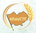Состоялись IV региональные межвузовские открытые соревнования «AltayCTF – 2018»