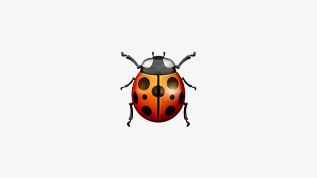 bug